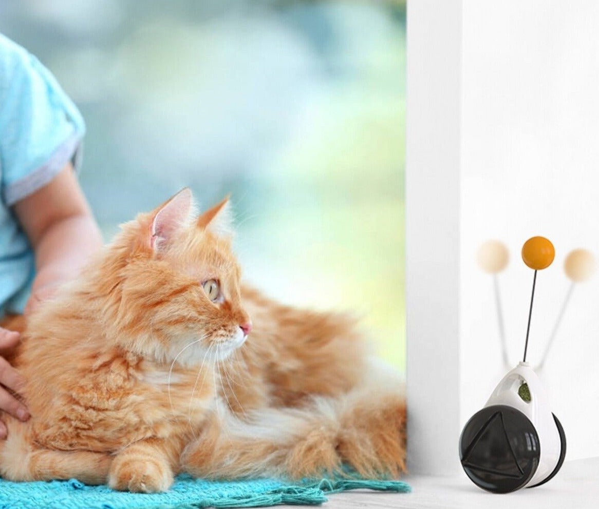 SmartCatip smart toy