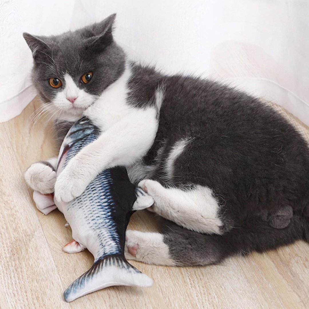 FishCat Cat Toy